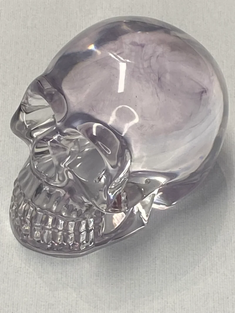 Resin schedel - Afbeelding 6