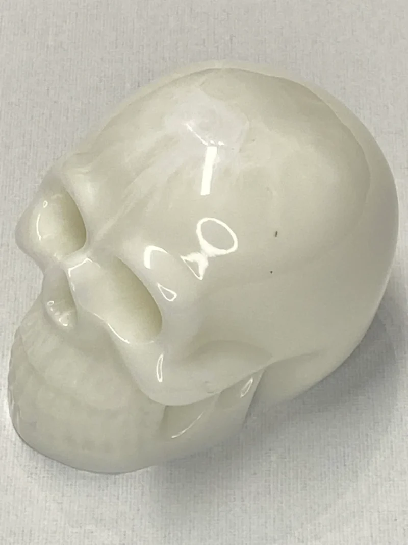 Resin schedel - Afbeelding 5