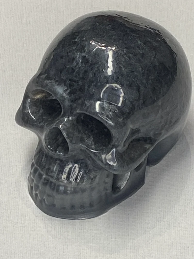 Resin schedel - Afbeelding 4